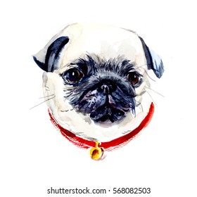 Pug. Portrait the dog. Watercolor hand drawn illustration
