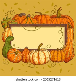 Pumpkin background with a frame copy space. Sketch drawn pumpkins for social media post, poster, banner, greeting card, invitation