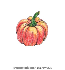 Pumpkin colored pencils white background  Vegetarian vegetables 
Halloween design elements  logos  badges  labels  icons   objects 