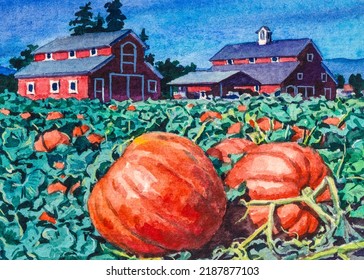 Pumpkin  Farm market  Pumpkin patch  Autumn season  Beautiful orange colors  Watercolor painting  Acrylic drawing art  A piece art  
