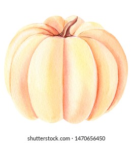 Pumpkin On An Isolated White Background, Watercolor Painting, Hand Drawing