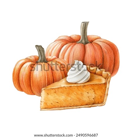 Pumpkin Pie slice with pumpkins painted illustration. Piece of cake on white background. Slice of pumpkin pie with whipped cream drawing on white background. Vintage style illustration