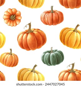 Pumpkin seamless pattern. Watercolor painted illustration. Hand drawn ripe orange autumn pumpkins decoration. Thanksgiving and halloween bright seamless pattern element. White background - Powered by Shutterstock