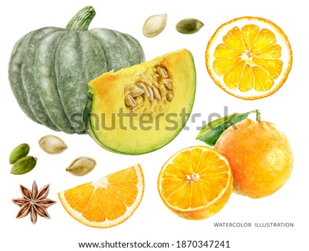 Pumpkin and pumpkin seeds orange fruit anise star watercolor illustration isolated on white background