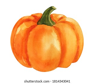 Pumpkin. Watercolor Painting On White Background. Autumn Harvest.