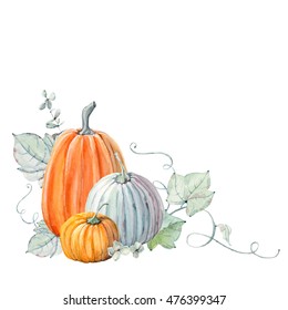 Pumpkins  Hand drawn watercolor painting white background  Colored vegetables painted paper  Autumn vegetables 