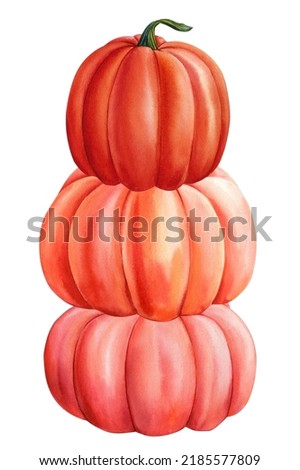 Pumpkins set on isolated white background, fall harvest. watercolor illustration, hand drawing,