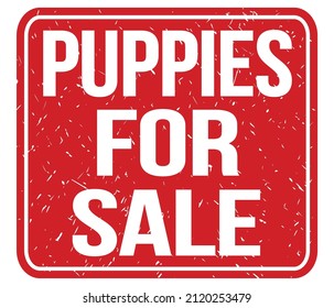 PUPPIES FOR SALE, Text Written On Red Vintage Stamp Sign