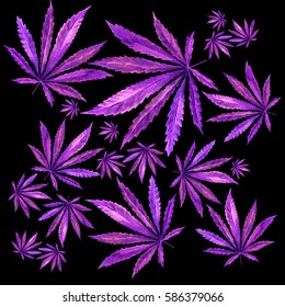 purple weed leaves