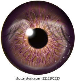 Purple Eyeball With Reflective Details