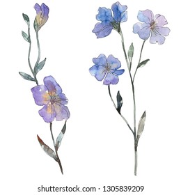 Purple flax floral botanical flower. Wild spring leaf wildflower isolated. Watercolor background illustration set. Watercolour drawing fashion aquarelle. Isolated flax illustration element.