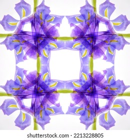 Purple Iris Abstract Stock Image.