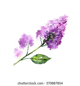 Watercolor Background Lilac Branches Stock Illustration 1394514953 