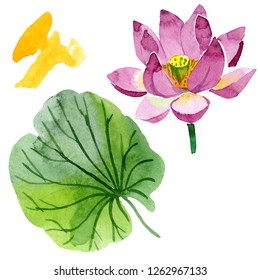 Purple lotus  Floral botanical flower  Wild spring leaf wildflower isolated  Watercolor background illustration set  Watercolour drawing fashion aquarelle isolated  Isolated lotus illustration element