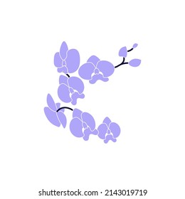 Purple Orchid, Bouquet Of Blooming Flowers Isolated On White Background. Flat Art  Illustration.