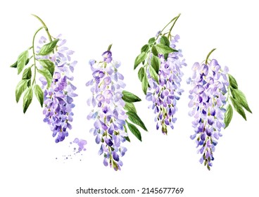 10,530 Pink wisteria Images, Stock Photos & Vectors | Shutterstock