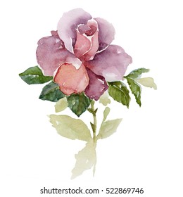 Purple Roses Watercolor Painting       