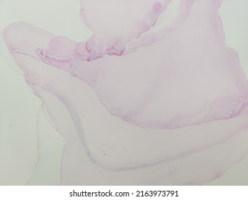 Purple Water Color Marble. Pink Marble Watercolor. Pink Watercolor Canvas. Pink Ink Paint. Purple Water Color Pattern. Sky Wedding Background. Coral Feminine Painting. Purple Feminine Background.