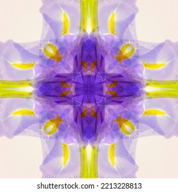 Purple And Yellow Iris Abstract Stock Image.