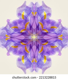 Purple And Yellow Iris Abstract Stock Image.