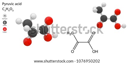 Pyruvic acid (Molecular Formula: C3H4O3) is an intermediate compound in the metabolism of carbohydrates, proteins, and fats. 3D illustration. Isolated on white background. Stock photo © 