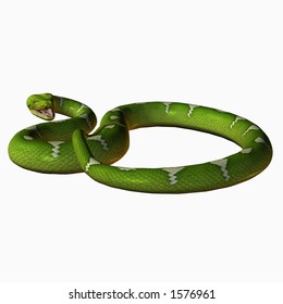 Python Stock Illustration 1576961 | Shutterstock