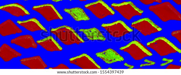 Python Graffiti Alligator Backdrop Dragon Scale Stock Illustration ...