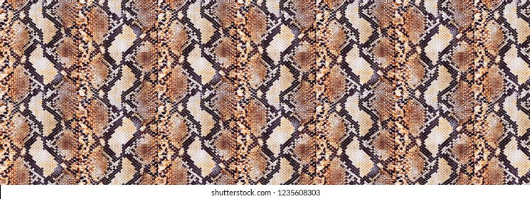 63,933 Python pattern Images, Stock Photos & Vectors | Shutterstock