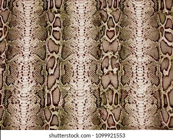 Python Pattern, Piton Texture, Snake Skin, Animal Skin