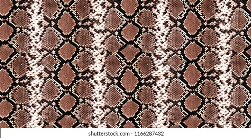 Python Skin, Snake Pattern, Animal Skin