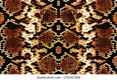 32,653 Black brown snake Images, Stock Photos & Vectors | Shutterstock