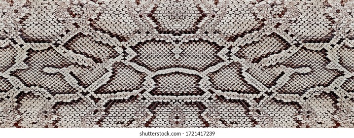 460,189 Animal skin pattern Images, Stock Photos & Vectors | Shutterstock