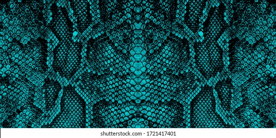 Python Skin  Snake Pattern  Animal Skin
