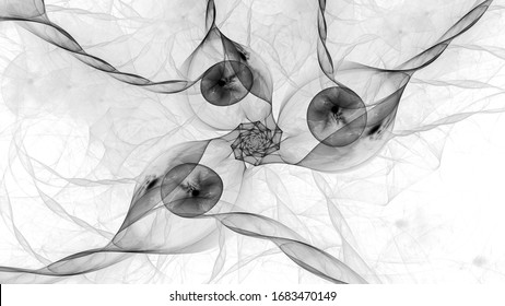 Quantum Correlation Effect, Computer Generated Abstract Intensity Map, Negative Black And White