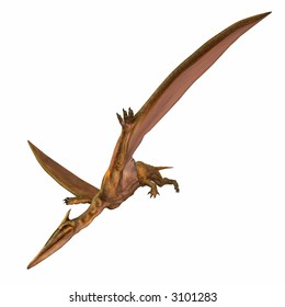 Quetzalcoatlus