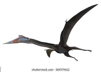 Quetzalcoatlus