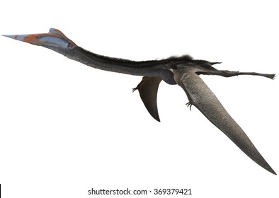 Quetzalcoatlus