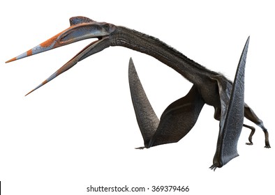 Quetzalcoatlus