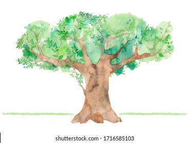 Big Tree Watercolor Images, Stock Photos & Vectors | Shutterstock