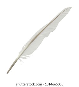 Quill 3D Illustration On White Background