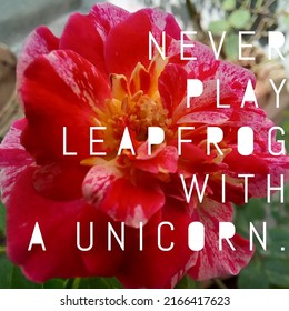 Quote for inspiration. Never play leapfrog with a unicorn.
