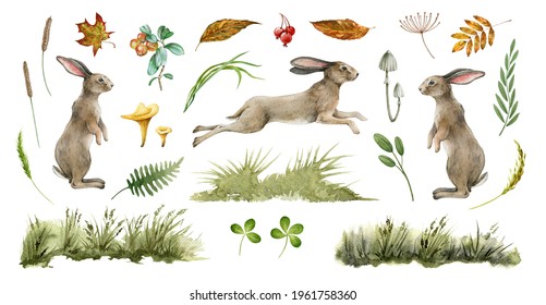 Rabbit Animal Natural Set. Watercolor Illustration. Cute Bunny Stand And Jump On White Background. Rabbit, Grass, Leaf, Mushroom Collection. Natural Hand Drawn Element Set. Fluffy Bunny Side View