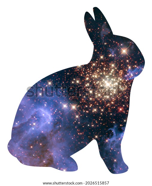 Rabbit Cutout On Nebula Outer Space Stock Illustration 2026515857 ...