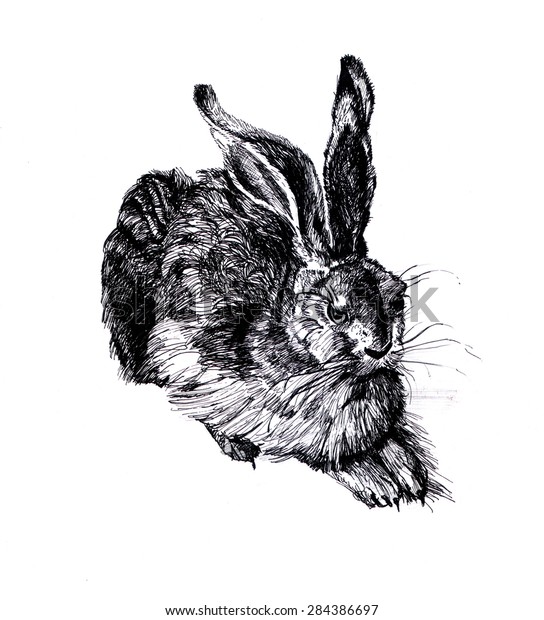 Rabbit Hand Drawn Sketch Illustration Stock Illustration 284386697 ...