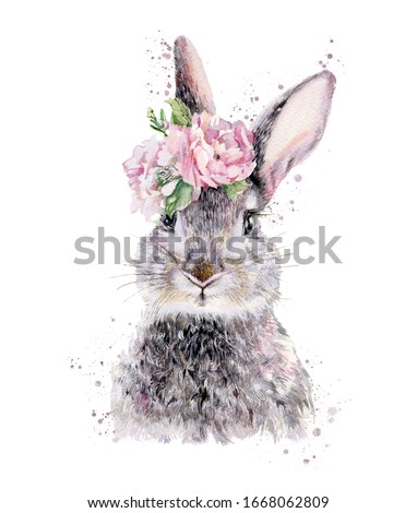 Rabbit Hare watercolor illustration painting isolated on white background