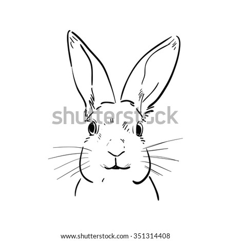 Rabbit Head Sketch Stock Illustration 351314408 - Shutterstock