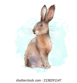 Rabbit Watercolor Illustration, Easter Bunny, Realistic Rabbit, Hare, Rabbit Is Sitting In Half A Turn, Rabbit In Profile