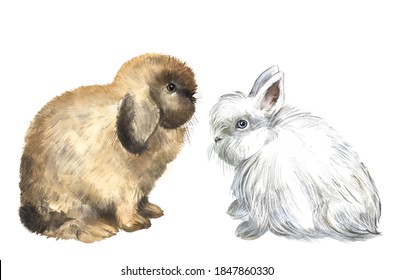 Rabbits Watercolor Illustration, Decorative Rabbits, Pets, Furry Animal, Farm Animal, Rodent