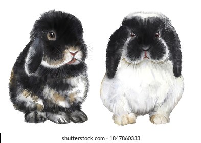 Rabbits Watercolor Illustration, Decorative Rabbits, Pets, Furry Animal, Farm Animal, Rodent