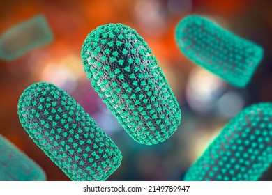 Rabies Viruses, 3D Illustration. A Neurotropic Virus That Causes Rabies Diseases In Humans And Animals